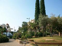 183 D36 LE LAVANDOU_000022